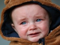 Behavior Is Language